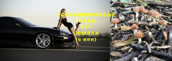сатива Мегион
