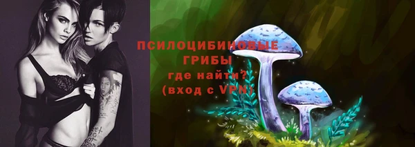 сатива Мегион