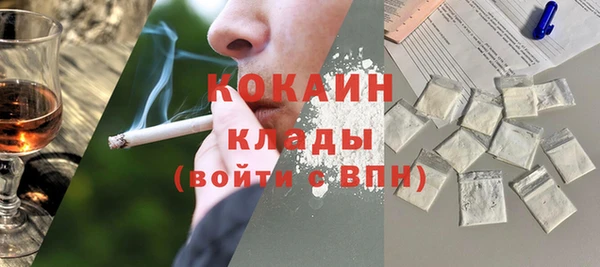 сатива Мегион